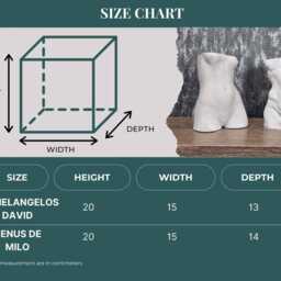 David & Venus Concrete Planters, Statue Plant Pot, Art Gift - thumbnail 4
