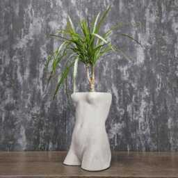 David & Venus Concrete Planters, Statue Plant Pot, Art Gift - thumbnail 3