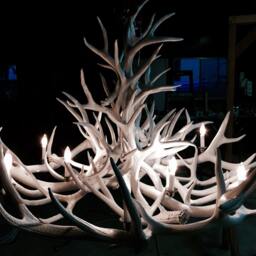 High Gloss White Large Antler Chandelier - thumbnail 4