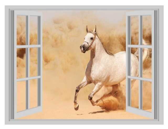 White Horse 3D Window View Wall Decal Running in Sand - image 1