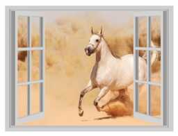White Horse 3D Window View Wall Decal Running in Sand - thumbnail 1