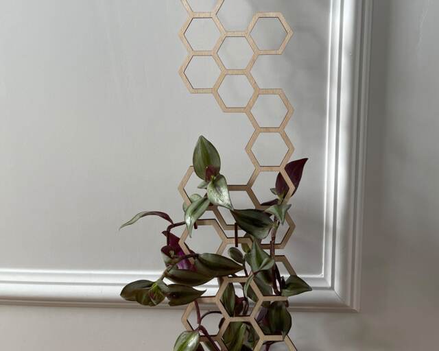 Hexagon Plant Trellis Extension Birch Wood Indoor Support - image 1