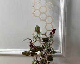 Hexagon Plant Trellis Extension Birch Wood Indoor Support