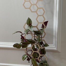 Hexagon Plant Trellis Extension Birch Wood Indoor Support - thumbnail 2