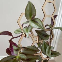 Hexagon Plant Trellis Extension Birch Wood Indoor Support - thumbnail 4