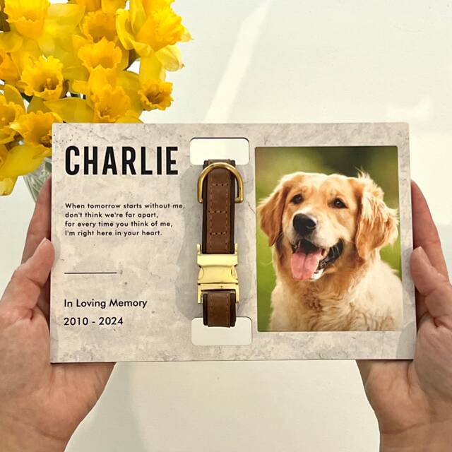Pet Loss Gifts With Photo & Collar Holder, Memorial Frame, Dog Sympathy Gift For Cat Remembrance Personalized - image 1