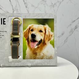 Pet Loss Gifts With Photo & Collar Holder, Memorial Frame, Dog Sympathy Gift For Cat Remembrance Personalized - thumbnail 3
