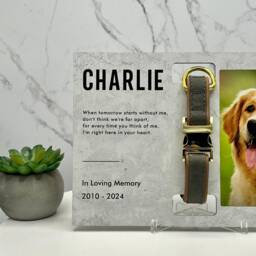 Pet Loss Gifts With Photo & Collar Holder, Memorial Frame, Dog Sympathy Gift For Cat Remembrance Personalized - thumbnail 2