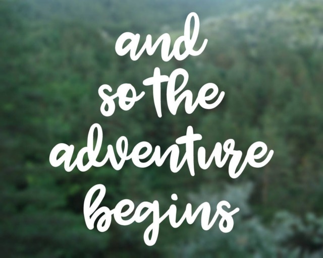 Adventure Begins Vinyl Decal Wedding, Nursery, Car Sticker - image 1