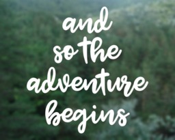 Adventure Begins Vinyl Decal Wedding, Nursery, Car Sticker - thumbnail 1