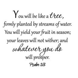 You Will Be Like A Tree Firmly Planted By Streams Of Water Psalm 13 Decal Bible Vinyl Wall Art Scripture Prosper Vwaq-30644 - thumbnail 2