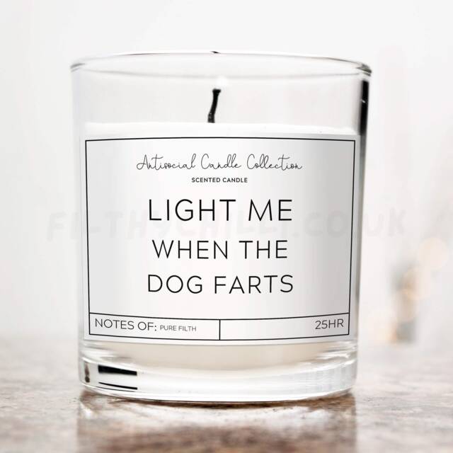 Light Me When The Dog Farts Candle, Funny Birthday Gifts, Gifts For Owner, Mum Gift, Dad, Christmas ??? - image 1