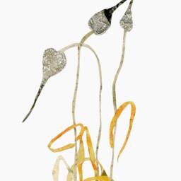 Minimalist Nature Art Print, Illustration Of Garden Plant, Modern Botanical Wabi Sabi Artwork, Subtle Neutral Wall - thumbnail 3