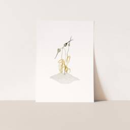 Minimalist Nature Art Print, Illustration Of Garden Plant, Modern Botanical Wabi Sabi Artwork, Subtle Neutral Wall - thumbnail 2
