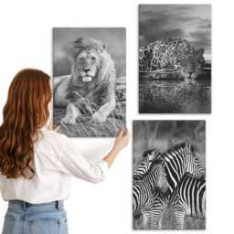 Canvas Art Set Of 3 - Wild Animals The Savannah Lion, Jaguar, & Zebra, Black White Wall Art, Hanging Piece - thumbnail 3