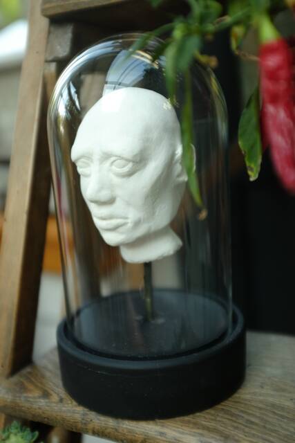Head Under Glass, Made Of Plaster, Decorative, Cabinet Curiosities, Unusual & Unique Item - image 1