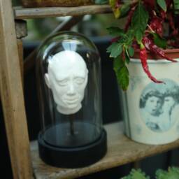 Head Under Glass, Made Of Plaster, Decorative, Cabinet Curiosities, Unusual & Unique Item - thumbnail 3