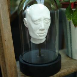 Head Under Glass, Made Of Plaster, Decorative, Cabinet Curiosities, Unusual & Unique Item - thumbnail 4