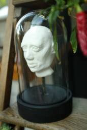 Head Under Glass, Made Of Plaster, Decorative, Cabinet Curiosities, Unusual & Unique Item - thumbnail 1
