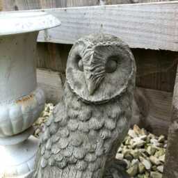 Limestone Barn Owl Statue - Reconstituted Stone Vintage Bird Concrete Outdoor Garden Ornament - thumbnail 2