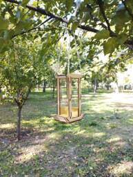 Hanging Bird Feeder Diy. Backyard Decoration For Watching