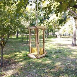 Hanging Bird Feeder Diy. Backyard Decoration For Watching - thumbnail 2