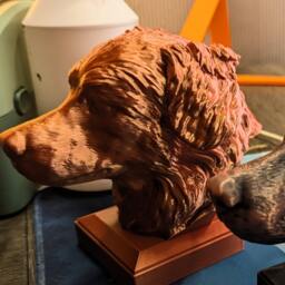 Australian Shepherd Bust 3D Printed Dog Memorial, Aged Metal Finish - thumbnail 2