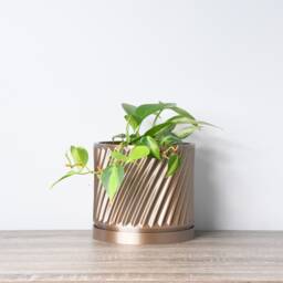 "Penelope Planter With Drainage & Saucer in Champagne Bronze, Unique 3D-Printed Plant Pot, Small To Large Sizes 4"" 5"" 6"" 7"" 8" - thumbnail 2