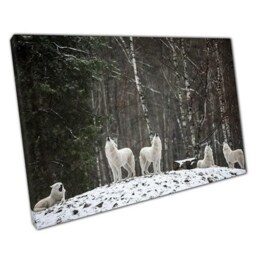 Wild Arctic Wolves Howling Canvas Art Print - Ready To Hang Wall Decor For Home Or Office - thumbnail 1