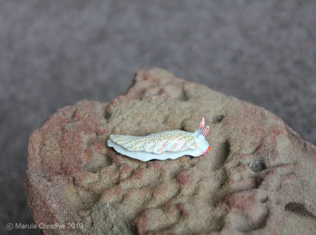 Nicu The Nudibranch - Dermatobranchus Funiculus - image 1