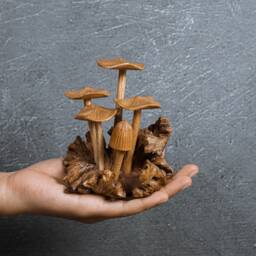 Handmade Wood Mushroom Figurine Rustic Floral Carved Statue 4 - thumbnail 4