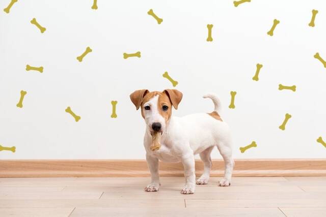 Dog Bone Decals, Nursery Wall Decal, Dogs Dog Baby Room Window Decal - image 1