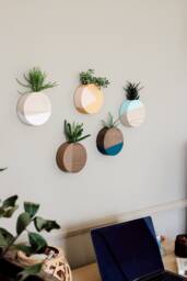 Wooden Wall Planter, Vases For Succulent, Hanging, Air Plant Holder, Decor, Mother's Day Gift - thumbnail 1