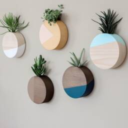 Wooden Wall Planter, Vases For Succulent, Hanging, Air Plant Holder, Decor, Mother's Day Gift - thumbnail 3