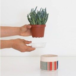 Small Natural Canvas Sitting Planter - Red + White - thumbnail 3