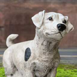 Stone Jack Russell Terrier Figurine Concrete Dog Statue Outdoor Pet Memorial Decoration Cement Terrier Ornament Dog Lover Gift - thumbnail 4