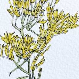 Nevada State Flower Map Watercolor Sagebrush - Art Print Wall Graduation Wedding Realtor Moving Gift Floral Wildflower - thumbnail 3