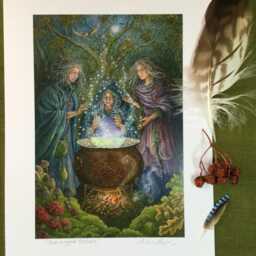 "The Wyrd Sisters - Print From The ""Forest Of Enchantment Oracle" - thumbnail 3