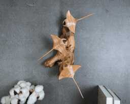 Hand Carved Wooden Manta Ray Wall Art Tropical Decor, 15 - thumbnail 1