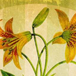 Lily, Flower, Botanical, Garden, Plants, Vintage, Antique, Wall Hanging, Banner, Poster, 1860S, Decor - thumbnail 2