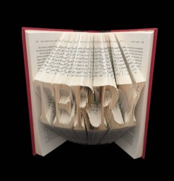 Terry 5 Letter Names Folded-Book Art Sculpture - thumbnail 1