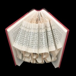 Terry 5 Letter Names Folded-Book Art Sculpture - thumbnail 2