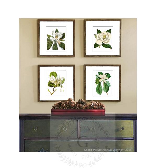 Magnolia Art Decor Botanical Print Set Of 4 White Flower Prints Home Decor By Gnosis Picture Archive - image 1