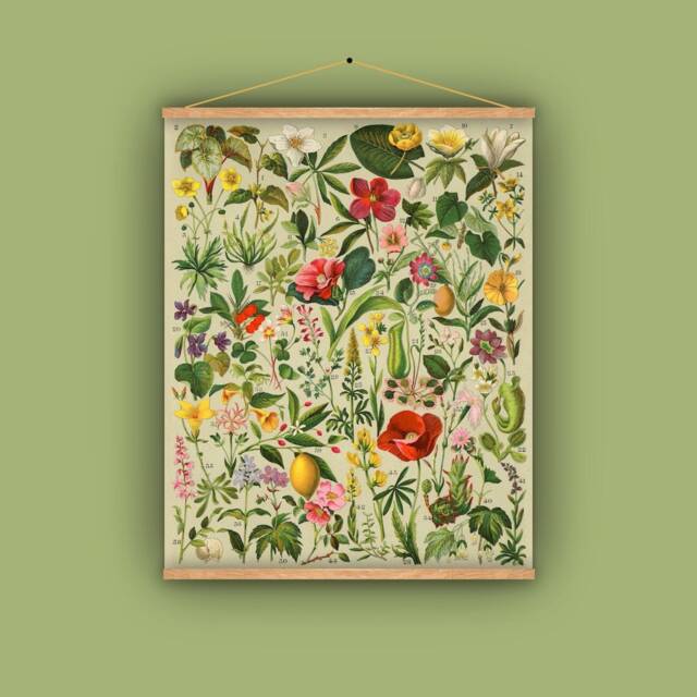 Pull Down Educational Chart, Wall Hanging, Botanical, Spain, 1890S, Natural History, Floral, Passion Flower, Lemon, Poppy, Antique Image - image 1