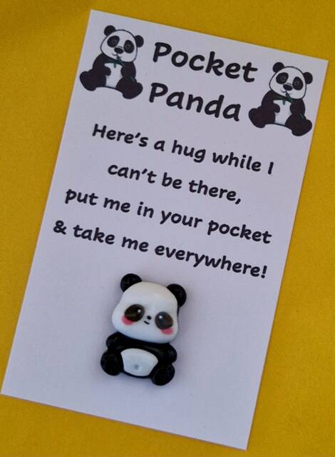 Pocket Hug, Panda - Gift For Her Friend Letterbox Hug Fused Glass- Personalised Keepsake Cheer-Up - image 1