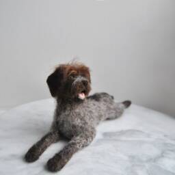 Custom Dog Portrait, Needle Felted Dog, Deutsch Drahthaar, Pointing Griffon, German Pointer Or Any Other Breed - Made To Order - thumbnail 3