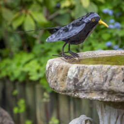 Handcrafted Recycled Metal Blackbird. Outdoor Garden Sculpture. Blackbirds. Bird Statues Ornaments - thumbnail 2