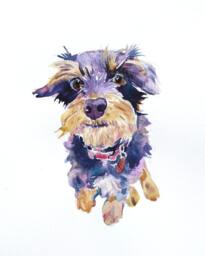 Custom Pet Portrait Original Watercolor Painting, Hand Painted, Dog Art - thumbnail 1