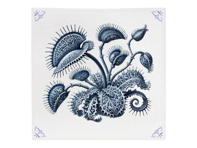Carnivorous Plant, Tile, Delft Blue, Kitchen Decor, Venus Trap, Bathroom Wall Art, Blue Ceramic, Backsplash, Plant - image 1