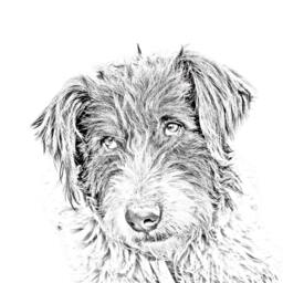 Romanian Mioritic Shepherd Dog - Wooden Stand For Candles/Pens With The Image Of A Dog New Collection - thumbnail 2